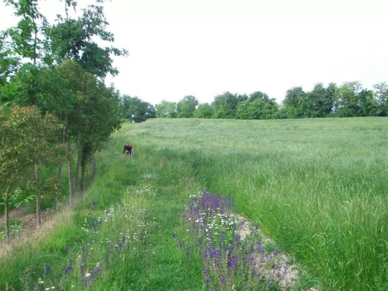foto16