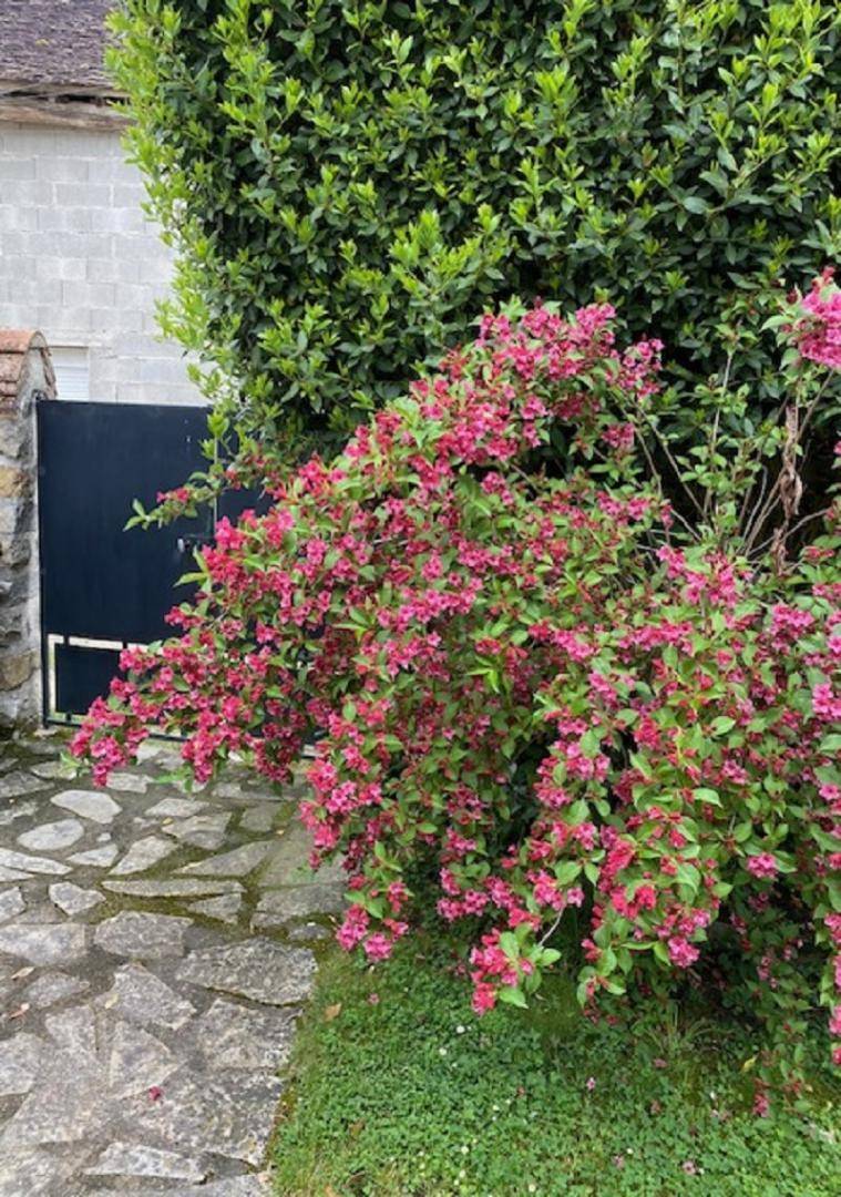 foto10