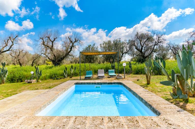 Villa with private pool, barbeque & garden — photo 5