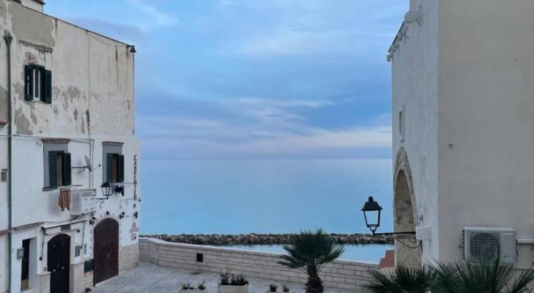 Lovely holiday apartment | Next to the beach | Pet-friendly in Vieste