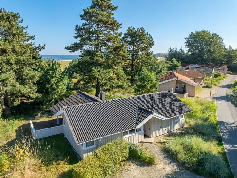 Ferienhaus  Dassow