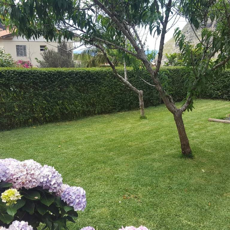 foto48