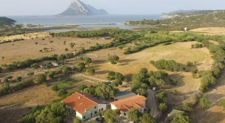 B&B La Taerra in Loiri Porto San Paolo