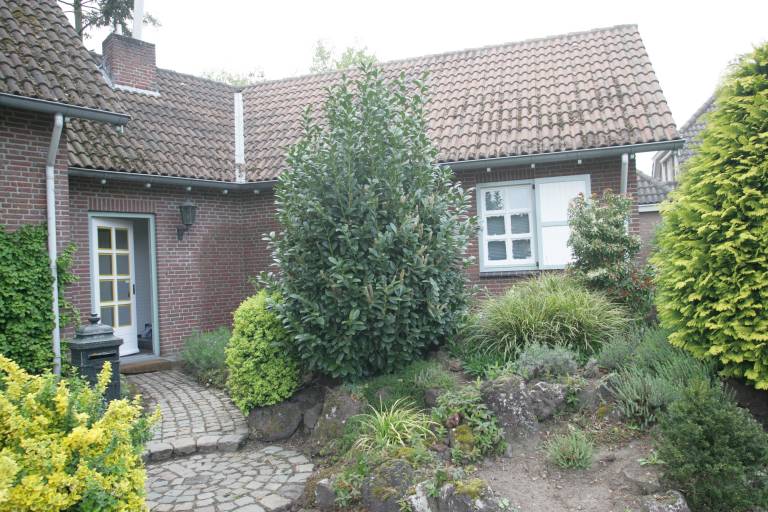 foto19