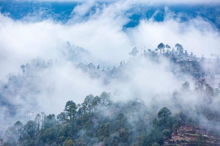 LiveAway Ramgarh (near Nainital) by PACK — photo 4