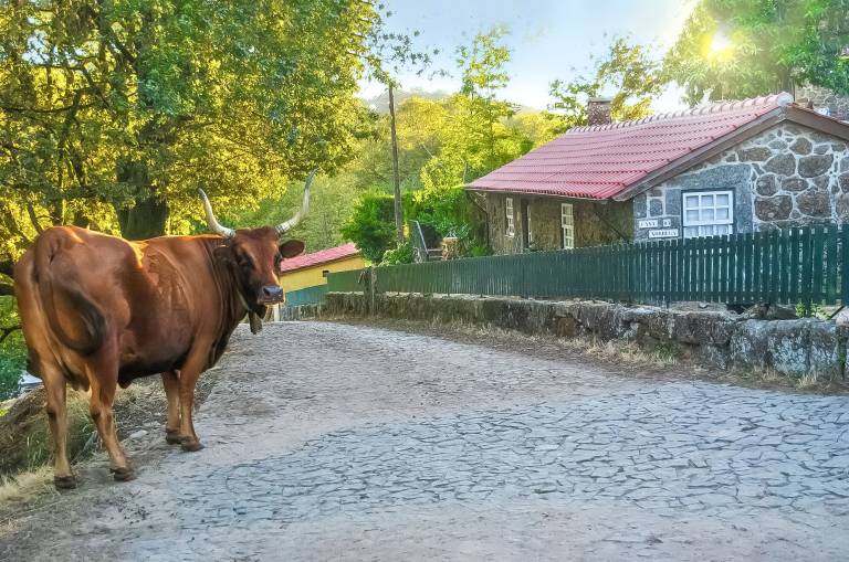 Casa rural Gondomar