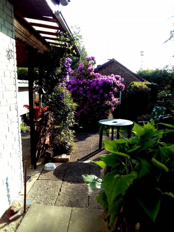 Nice house with patio | Pets are welcome — photo 3