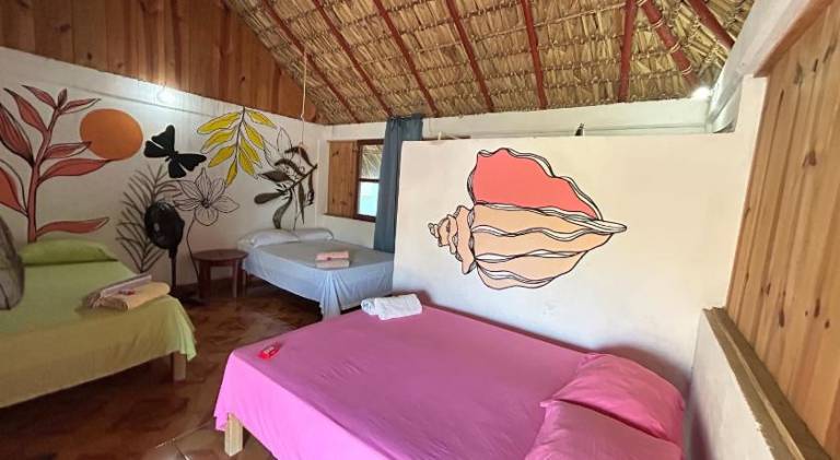 Terra Tipi — photo 2