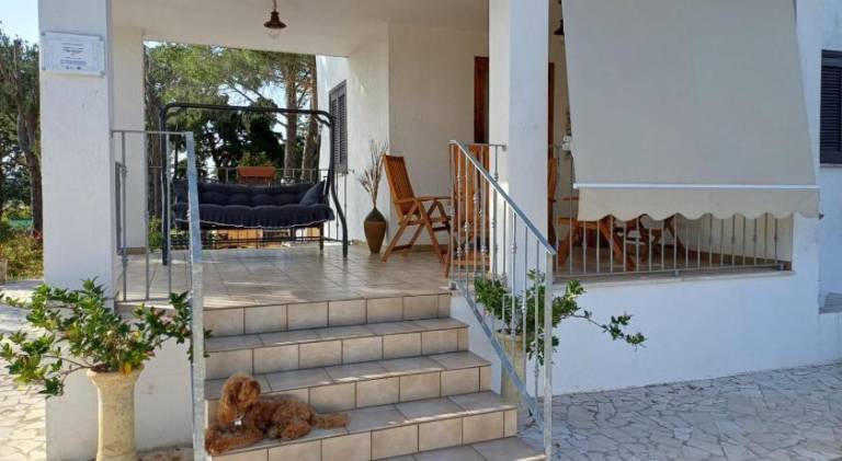 Vacation home with yard — photo 3