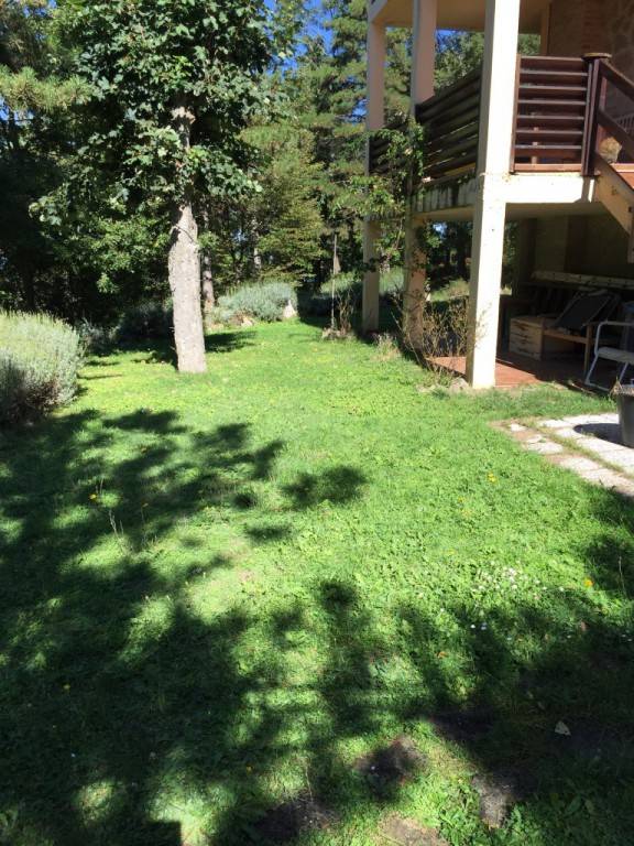 foto15