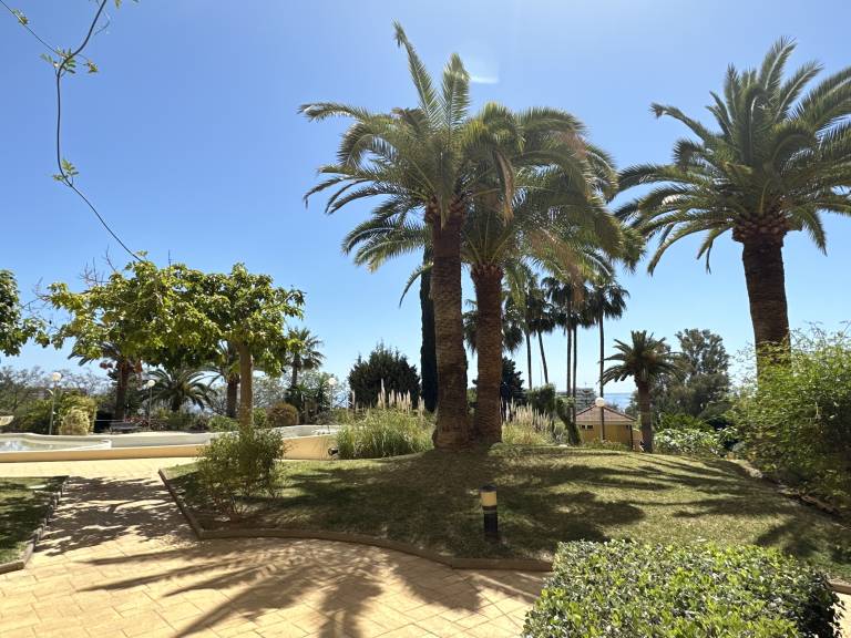 foto43