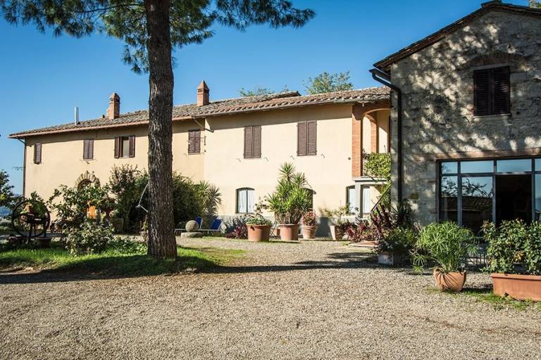 Agriturismo Sant'Ulivieri: Girasole — photo 5