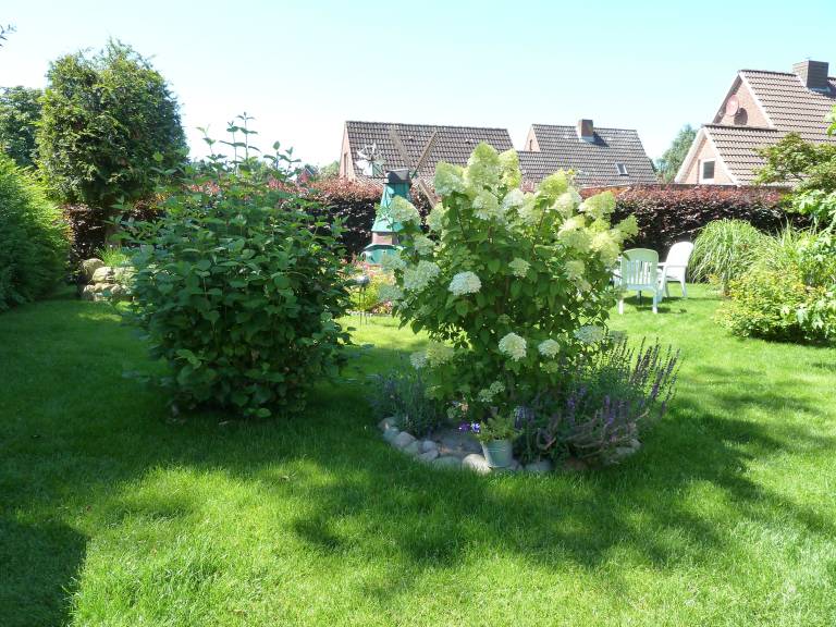 foto24