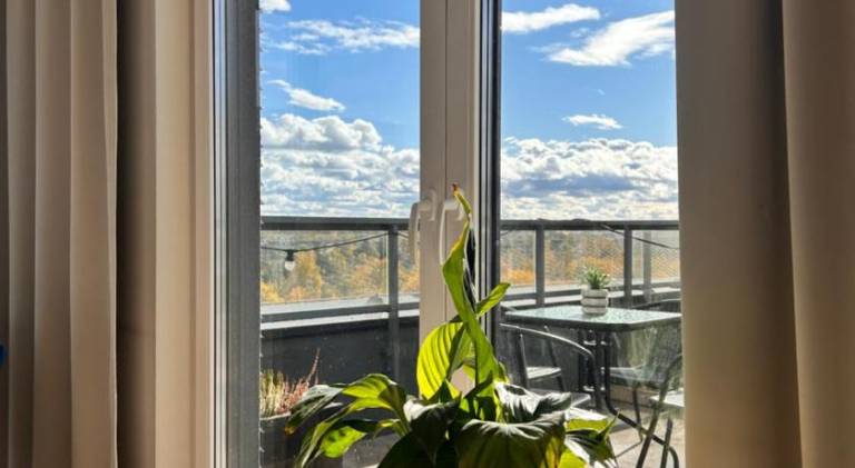 Beautiful rental apartment | Dogs allowed — photo 3