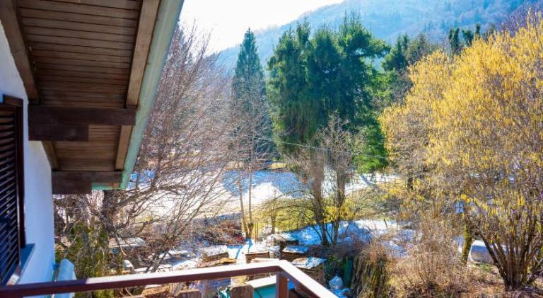 Rental apartment | Pets are welcome in Lezzeno