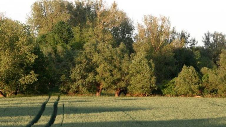 foto6