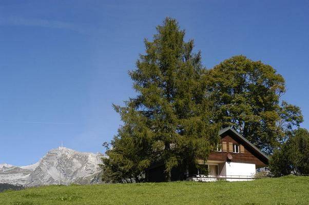 Ferienhaus Amden