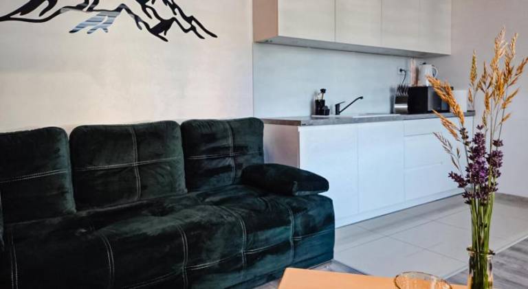 Wonderful rental apartment | Dogs allowed — photo 3