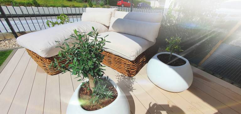 Apartment Eltville