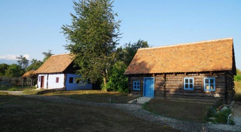 Villa with barbecue, yard & patio | Pet-friendly in Sibiu