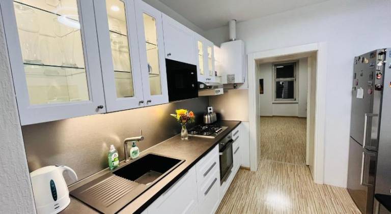 Lovely nest! Just beside SCHONBRUNN PALACE and ZOO! — photo 2