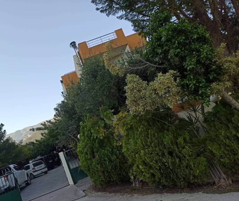 foto44