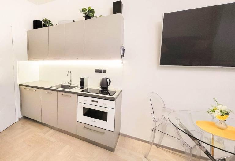 Rental apartment with garden | Next to Prague astronomical clock — photo 4
