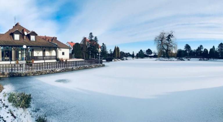 Hotel Nad Stawem — photo 5