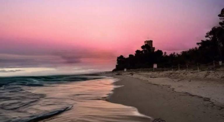 Nice apartment | Close to the beach | Pets are welcome — photo 4