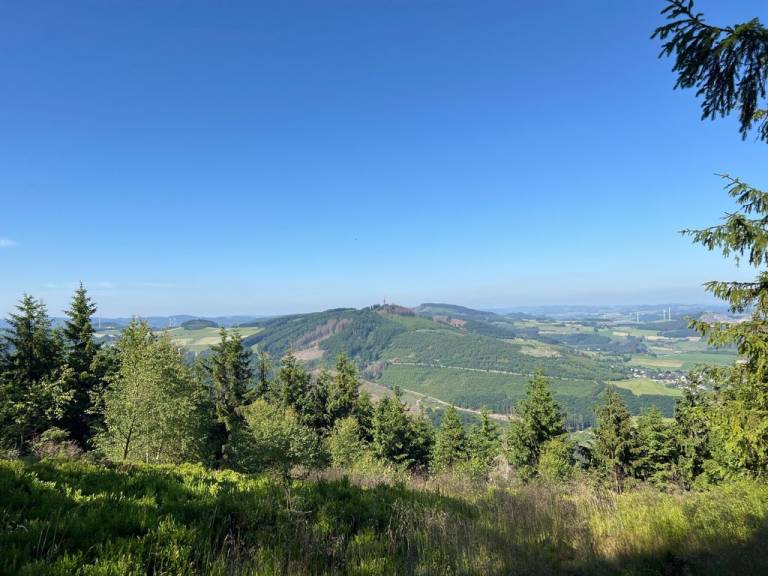 foto21