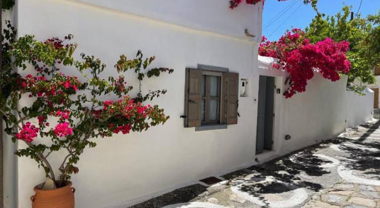House with garden in Samos