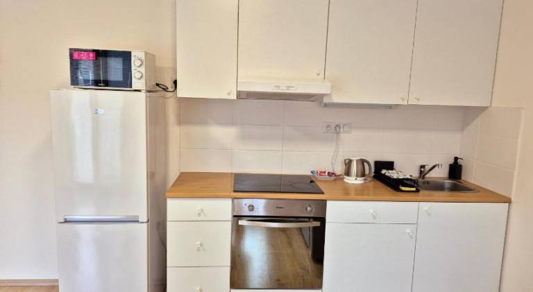Holiday apartment with 1 room for 2 persons — photo 3