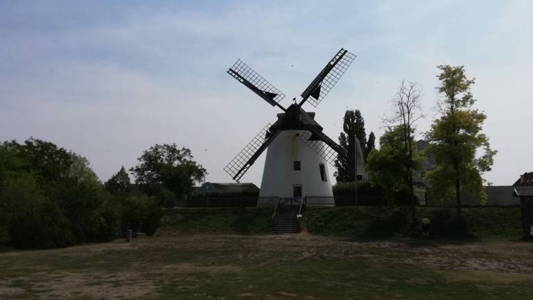 foto20