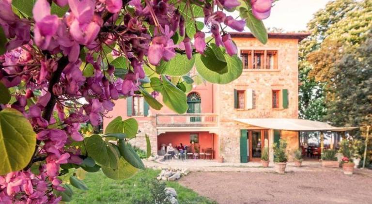 Rental apartment with garden & patio in Imola