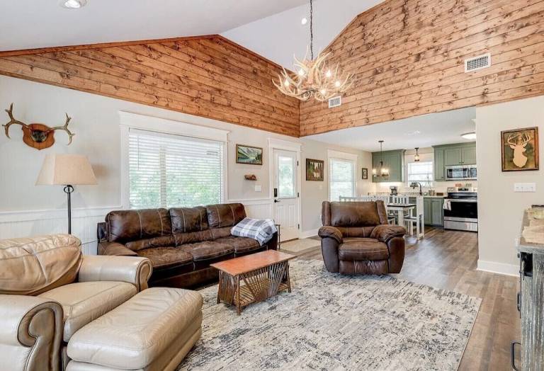Cabin Collins