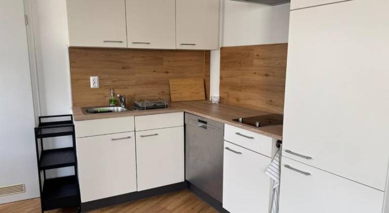 Pleasant rental apartment | Pets are welcome — photo 4
