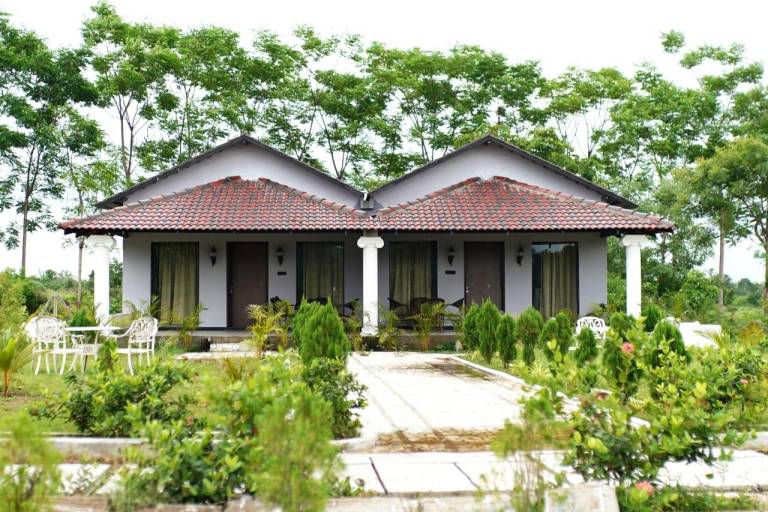 Tuli Orchid - A Boutique Eco Resort — photo 4
