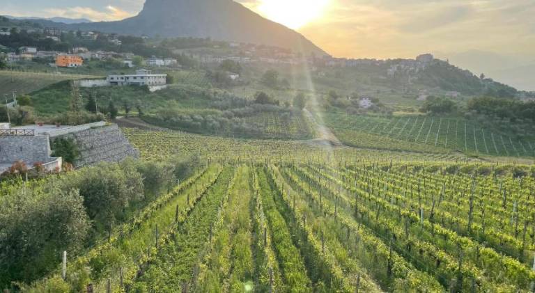 Farm with yard | Pet-friendly in Benevento