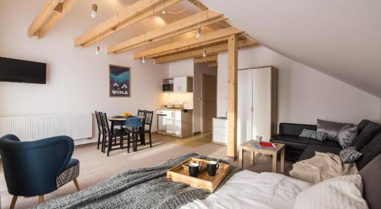 Serviced apartment with garden | Pet-friendly in Wisla