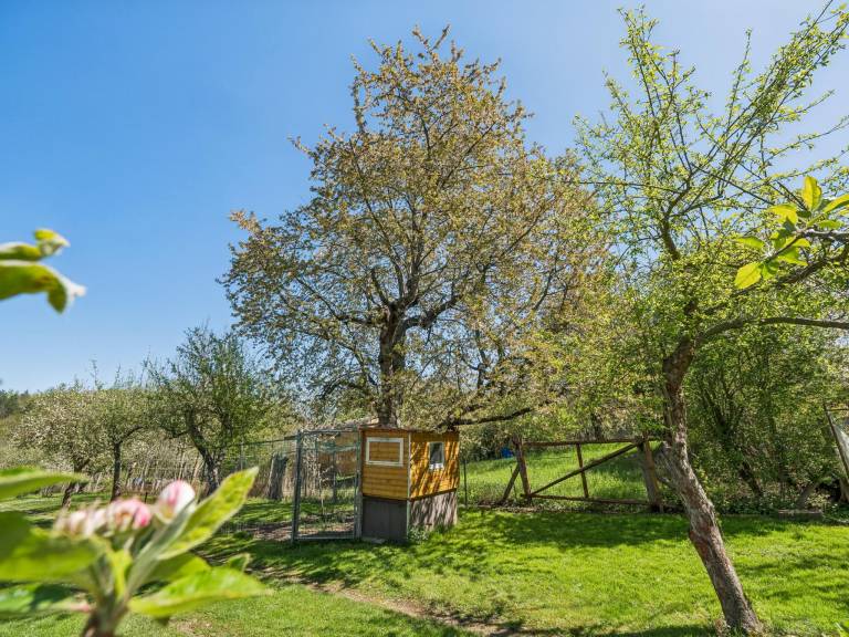foto14
