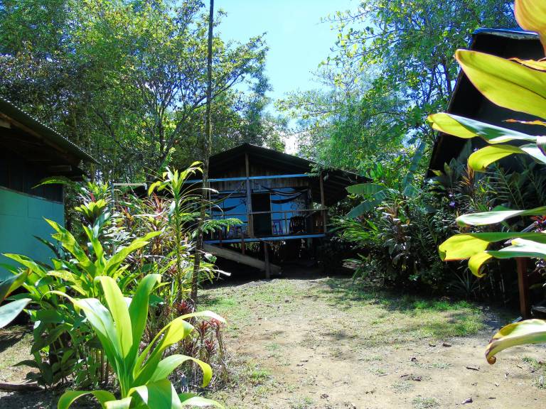 foto6