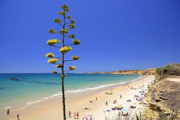 Apartamento Conil de la Frontera