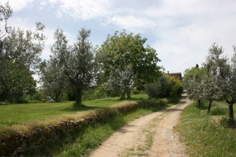 foto10