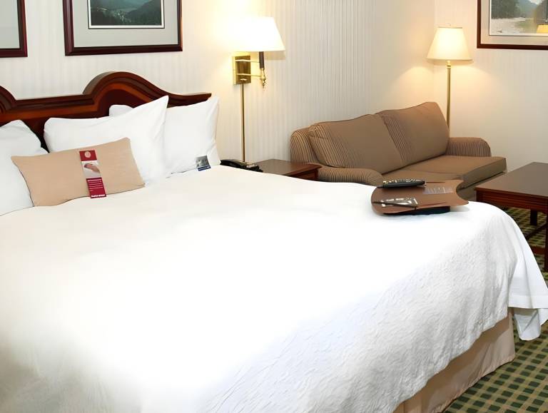 Hampton Inn Christiansburg-Blacksburg (Mall Area) in Christiansburg, VA