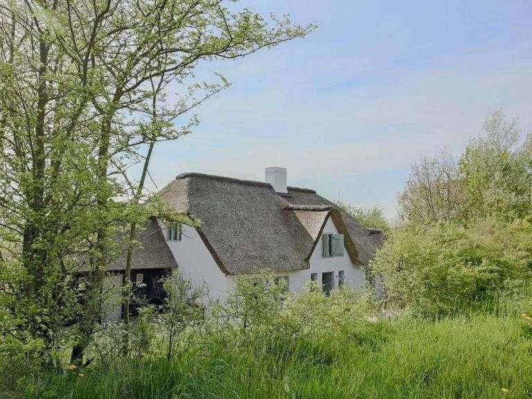 foto18