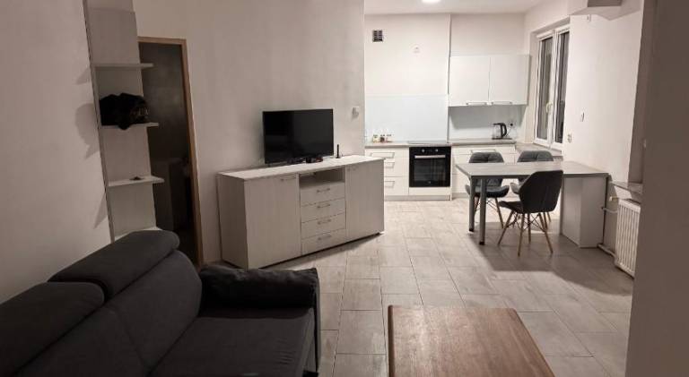 Holiday apartment with 1 room for 3 persons — photo 2
