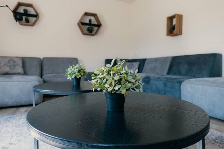 House | Pet-friendly — photo 4
