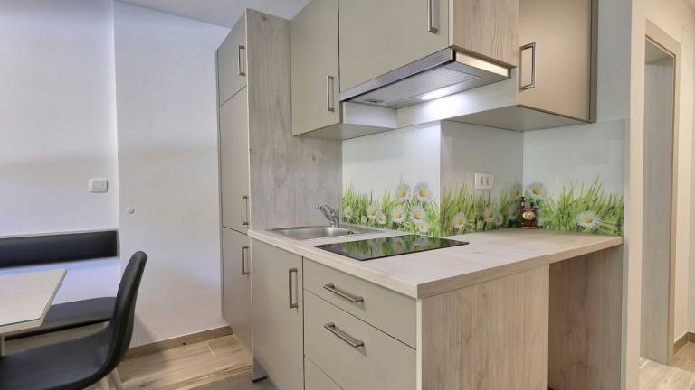 Ferienwohnung Kranjska Gora