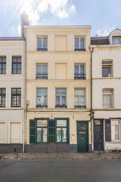 Apartment with patio | Next to Lille Cathedral | Pets are welcome — photo 5