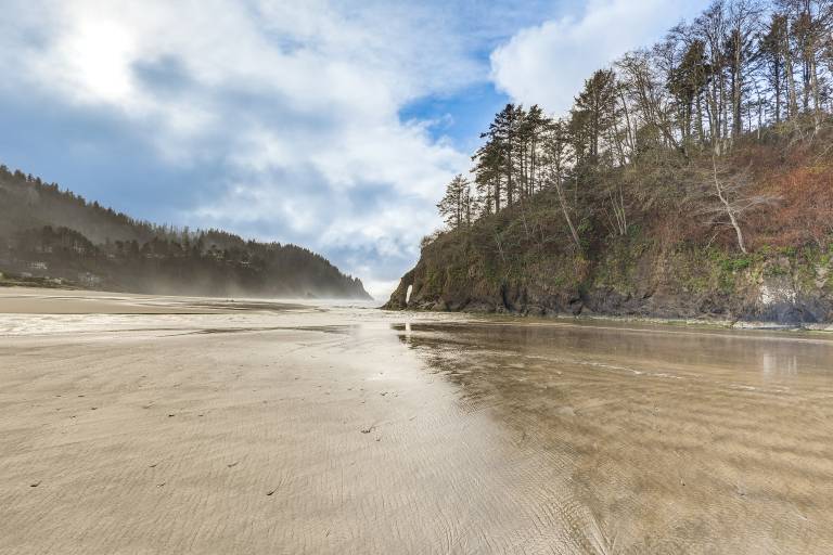 Walk to Neskowin Beach! Creekside Oregon Retreat — photo 4